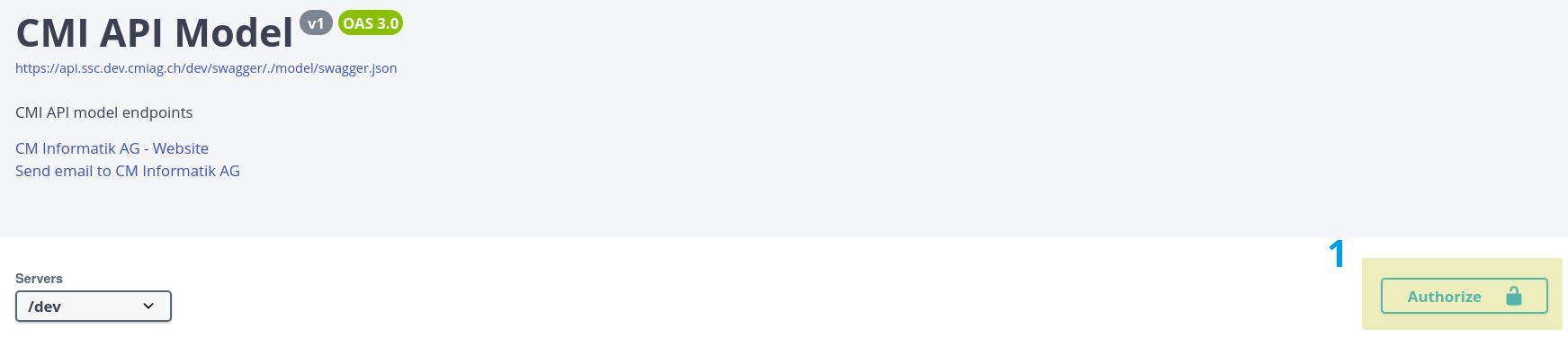 swagger-auth